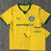 TERCER CAMISETA PALMEIRAS 2025 VERSION JUGADOR