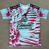 CAMISETA ARQUERO AMERICA 26/27