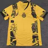 TERCER CAMISETA INTER 24/25
