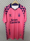 CAMISETA ESPECIAL PALMAS 25/26