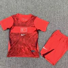 CONJUNTO SUPLENTE TURQUÍA PARA NIÑO 26/27