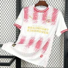 CAMISETA PSV 2025
