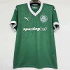 CAMISETA ESPECIAL PALMEIRAS 2025