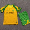 CONJUNTO TITULAR NORWICH CITY PARA NIÑO 26/27