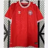 CAMISETA TITULAR DINAMARCA 2024