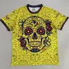CAMISETA ESPECIAL AMERICA 2025