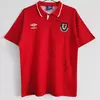 CAMISETA TITULAR GALES 1992/94