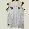 CAMISETA SUPLENTE CAMERÚN 2002
