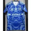 CAMISETA SUPLENTE TIGRES 25/26