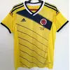 CAMISETA TITULAR COLOMBIA 2014