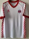CAMISETA SUPLENTE NORUEGA 1984