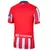 Camisa Atletico de Madrid 24/25-LISTRADA na internet