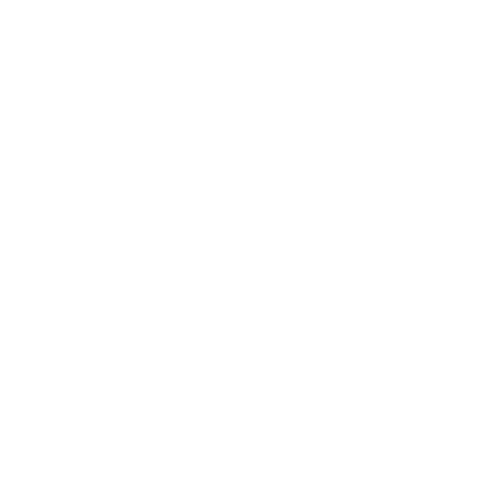 SIR JHONES