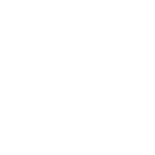 SIR JHONES