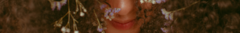 Banner de la categoría CABELLO
