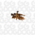 Mordedor Natural Para Cães - Cisca-Cisca (Pé de Galinha Desidratado) - 4 un - comprar online