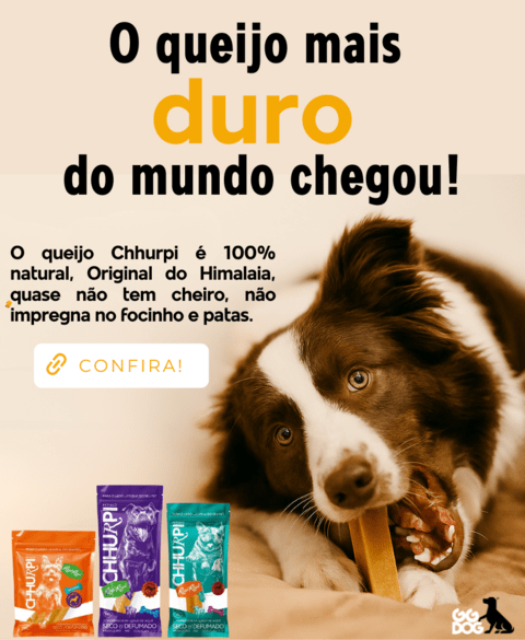Carrossel 1