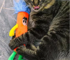 QMONSTER STICKMAN PELÚCIA COM CATNIP - loja online