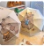 Paraguas Capybara Kawaii Cute Manual Con Funda 67 Cm - tienda online