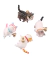 1 Tirador Gatito Resina Cat Manija Cajones Muebles Perilla