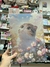 Imagen de Cuaderno Inteligente A4 Infinito Gatitos Kawaii Discos Konoha