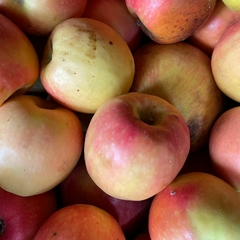 Manzana