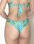 Calcinha biquini asa delta Fio duplo palmeira listrada - Doce Magia moda praia e moda feminina