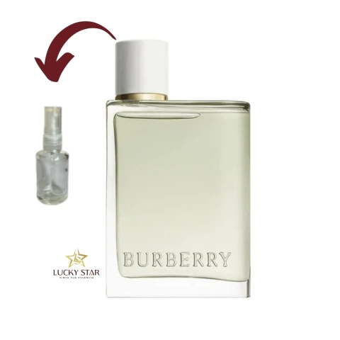 DECANT BURBERRY HER EDT BURBERRY FEMININO