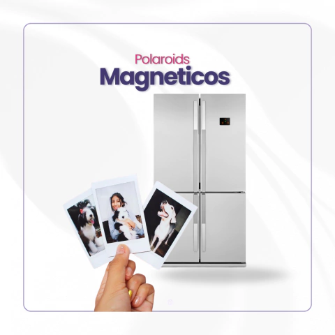 Polaroids magneticos