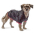 Campera Renata