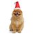 Gorro Navidad