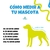Buzo Animal en internet