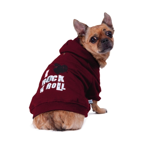 Buzo Rockstar - comprar online