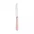 Faqueiro Aço Inox com Cabo Plástico Mother Pearl Rosa Lyor 24 Peças - Lojas Neitzke
