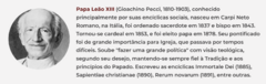 Banner da categoria Papa Leão XIII