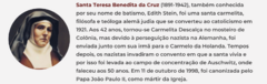 Banner da categoria Santa Teresa Benedita da Cruz