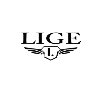 LIGE official store | Men's watches .