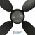 BLACK OVAL VINTAGE - comprar online