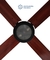 COSMOS CEDRO 4P - tienda online