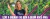 Imagem do banner rotativo Vida me Surpreenda