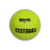 Pelota de Cesto SOUTH