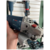 AMOL.ANGULAR 180mm "BOSCH" GWS 22-180 - Implementos Quadri SRL