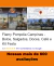 Carrusel Flamy Pompeia