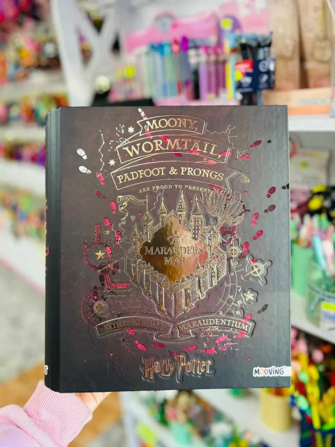 Carpeta A4-Mooving-Harry Potter