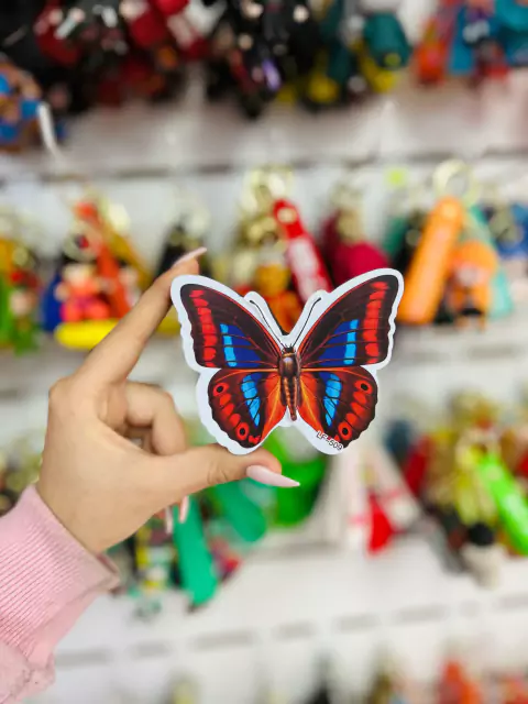 Borrador de pizarra imantado - Mariposa Roja