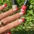 Esmalte Deep Garnet - tienda online