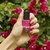 Esmalte Pink Boom - comprar online