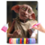 Elf Harry Potter