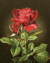 Rosa Vermelha - comprar online