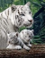 Família de Tigre Brancos - comprar online